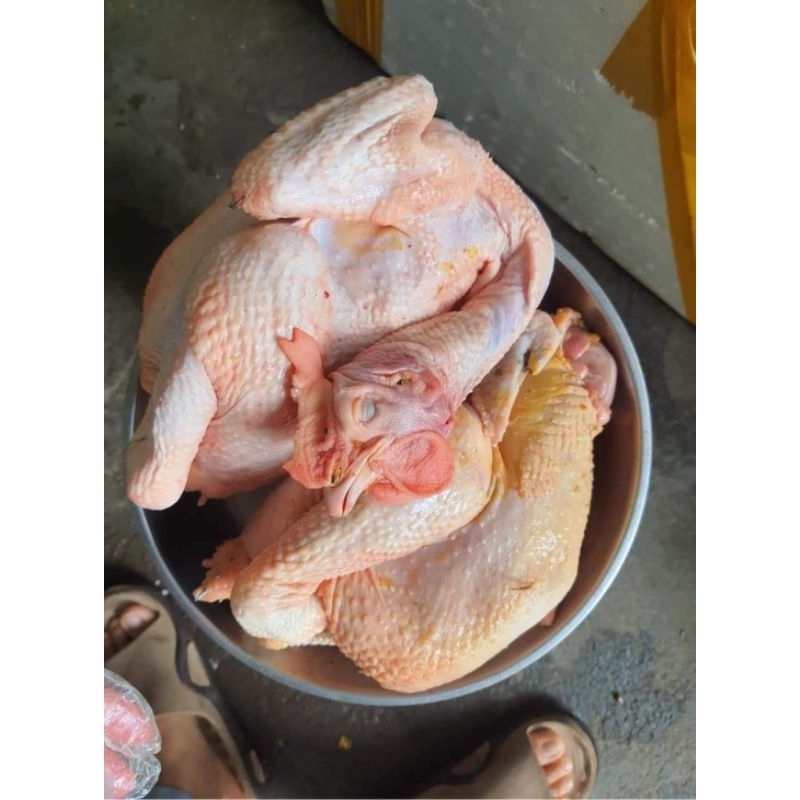 Gà ri tươi thịt sẵn 1-1.2kg  100k