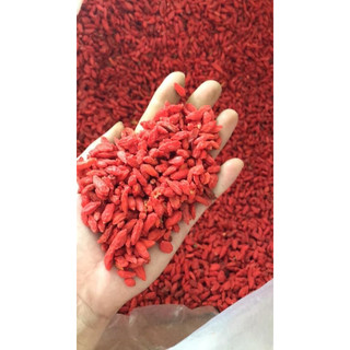 Kỉ tử đỏ sấy khô hạt đều ngọt 500gr