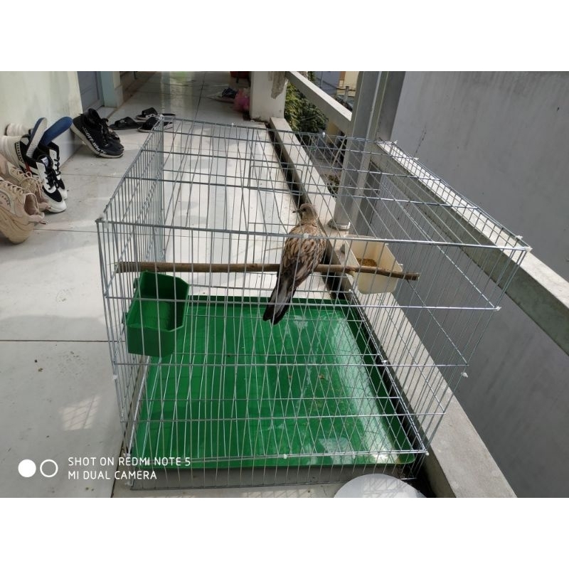 LỒNG CHIM, GÀ MÈO, CHUỘT..50x50x47 CM