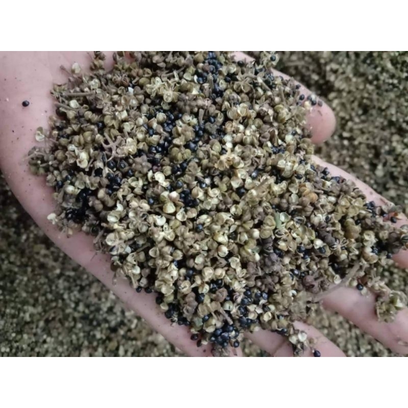 100G Hạt Mắc Khén rừng Tây Bắc