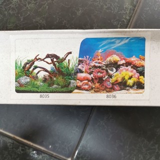 Tranh dán hồ cá cao 40cm