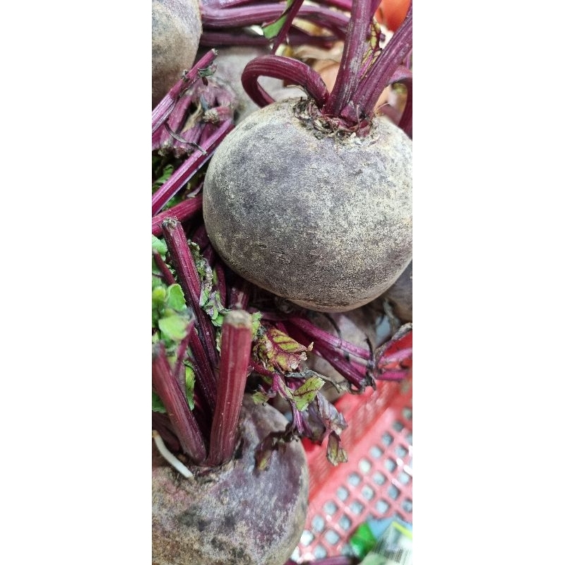 Củ dền đỏ Đà Lạt (túi 1kg)
