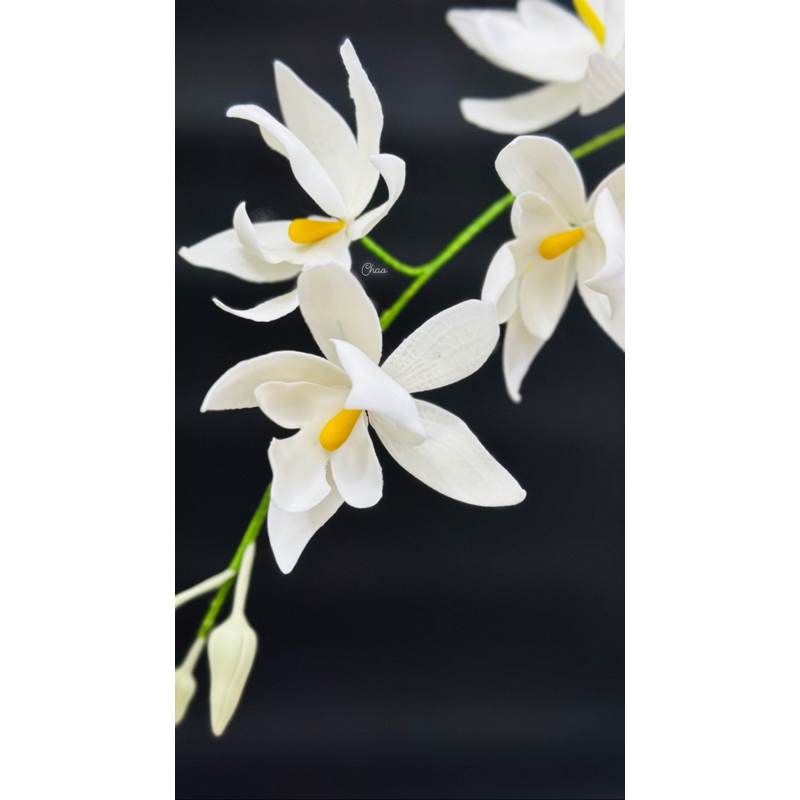 Bột Đường Gumpaste