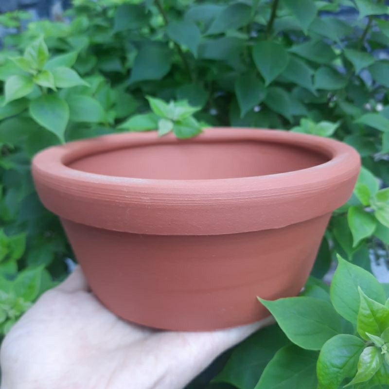 Chậu đất nung - Chậu trồng sen đá, xương rồng - Chậu thau trung miệng 16cm, cao 7cm