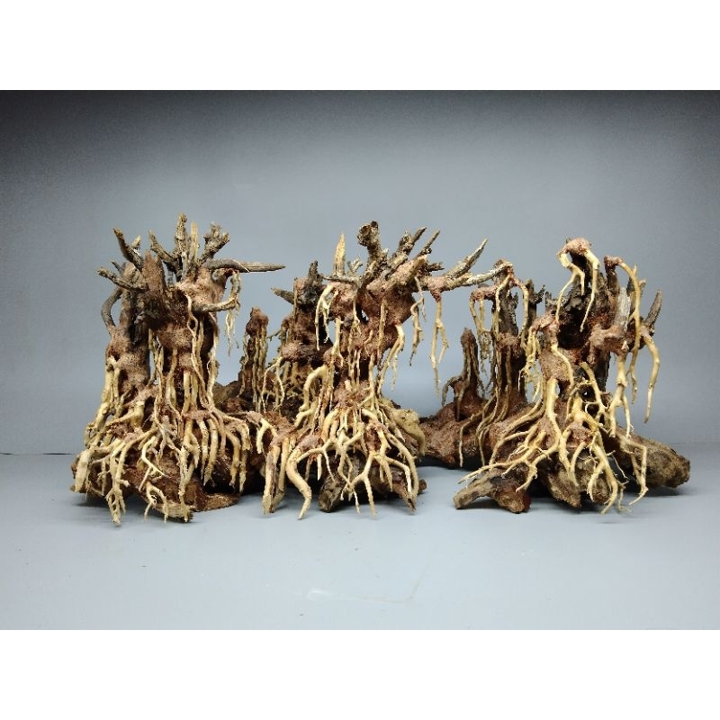 cây gỗ lũa bonsai cho hồ thủy sinh dạng Layout [đã ghép thành 1 khối, về chỉ việc trang trí. Có quà tặng kèm theo]