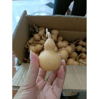 BẦU HỒ LÔ MINI, TRANG TRÍ, TREO PHONG THỦY 4-6cm