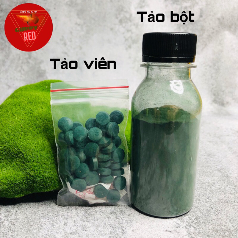 Tảo bột - Tảo viên,thức ăn nuôi artemia sinh khối