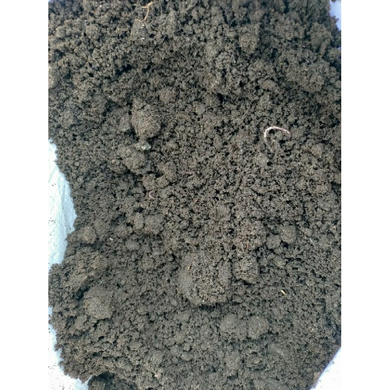 3kg phân trùn quế nguyên chất, phân hữu cơ bón rau.