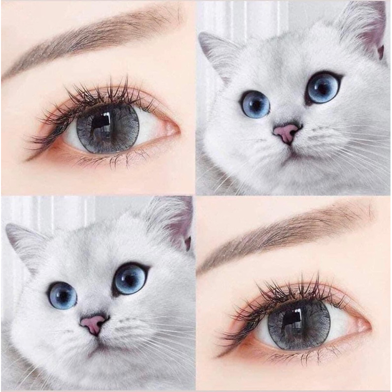 Lens Xinh mắt mèo