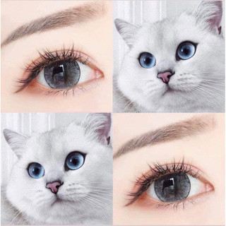 Lens Xinh mắt mèo