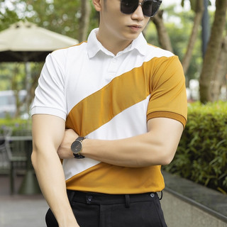Áo thun nam cổ bẻ mẫu mới cao cấp, áo phông đẹp giá rẻ 212