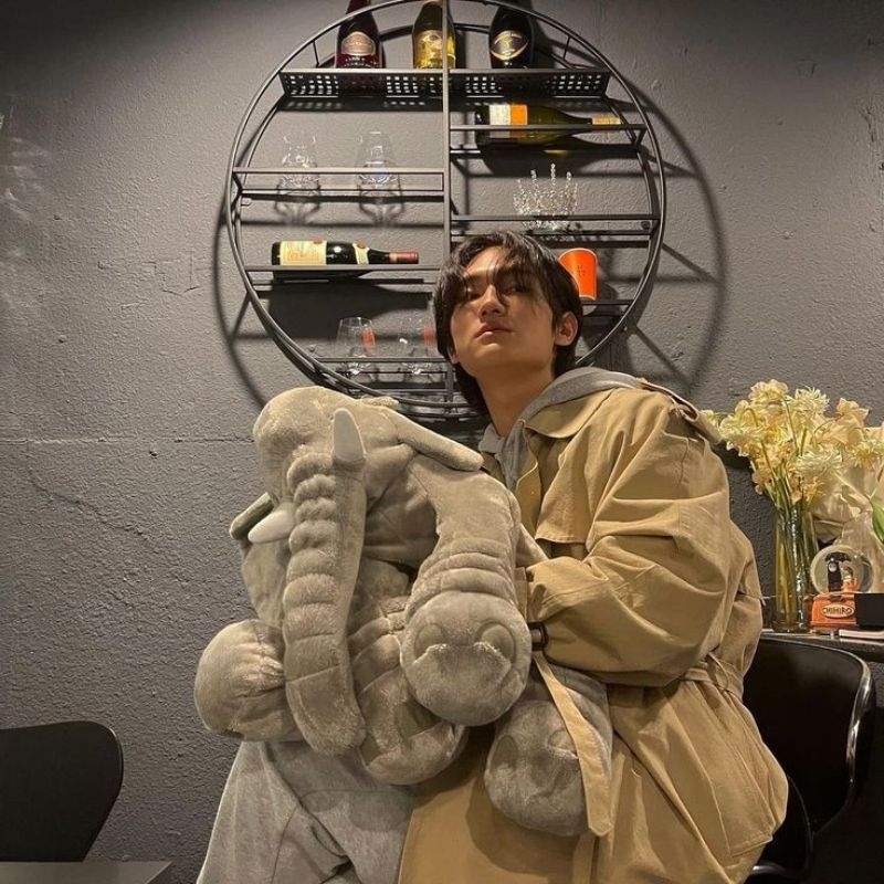 Combo voi Hàn Quốc và chó gold ikea