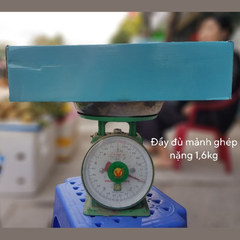 Lắp ráp mô hình Hổ Múa Lân 30cm 2 con, decor trang trí nhà cửa cực hot