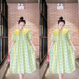 A32 Váy Hoa Babydoll Tiểu Thư Cổ Bèo 2 Lá Xinh Xắn