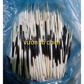 [Mua 5 tặng 1] Lông Don, Lông Nhím - đuổi chuột Ô tô