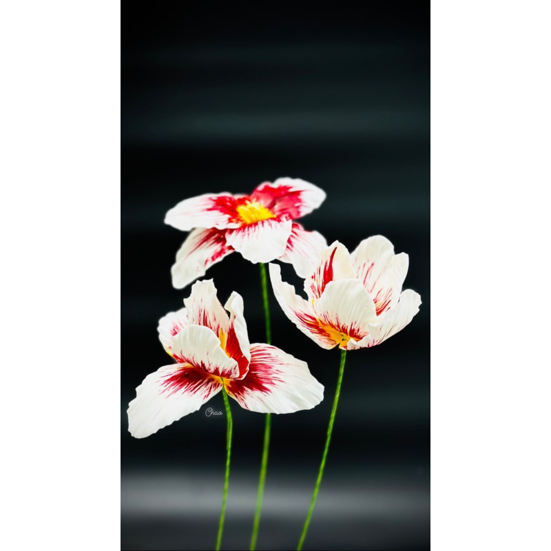 Bột Đường Gumpaste