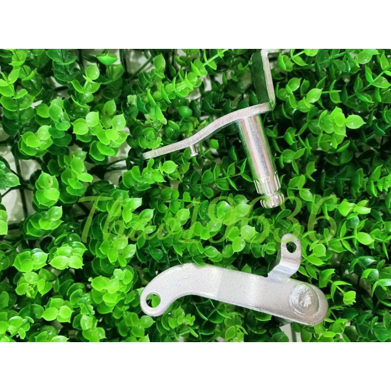 Cốt đạp thắng Xipo