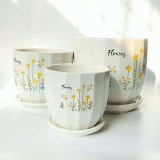 Chậu sứ trồng cây kèm đĩa hứng nước, chậu trồng cây đẹp phù hợp trồng cây để bàn, cây văn phòng, cây phong thủy.