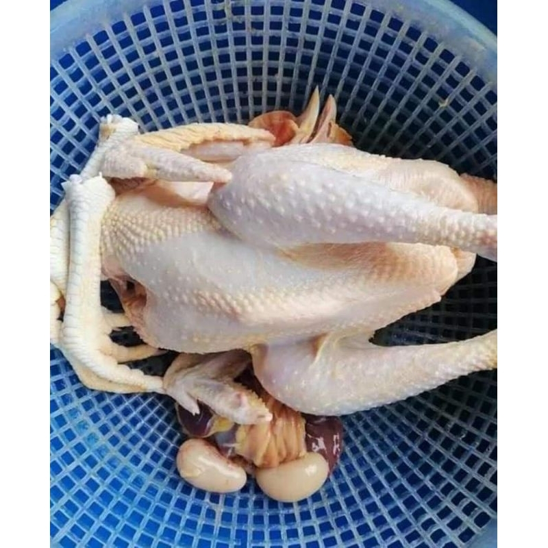 Gà ri tươi thịt sẵn 1-1.2kg  100k