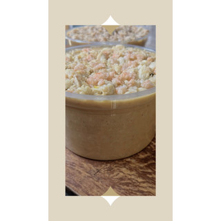 [HCM] [ Pate có mới mỗi ngày ] Pate tươi cho Chó Mèo hộp 500g có topping - Pate mới mỗi ngày
