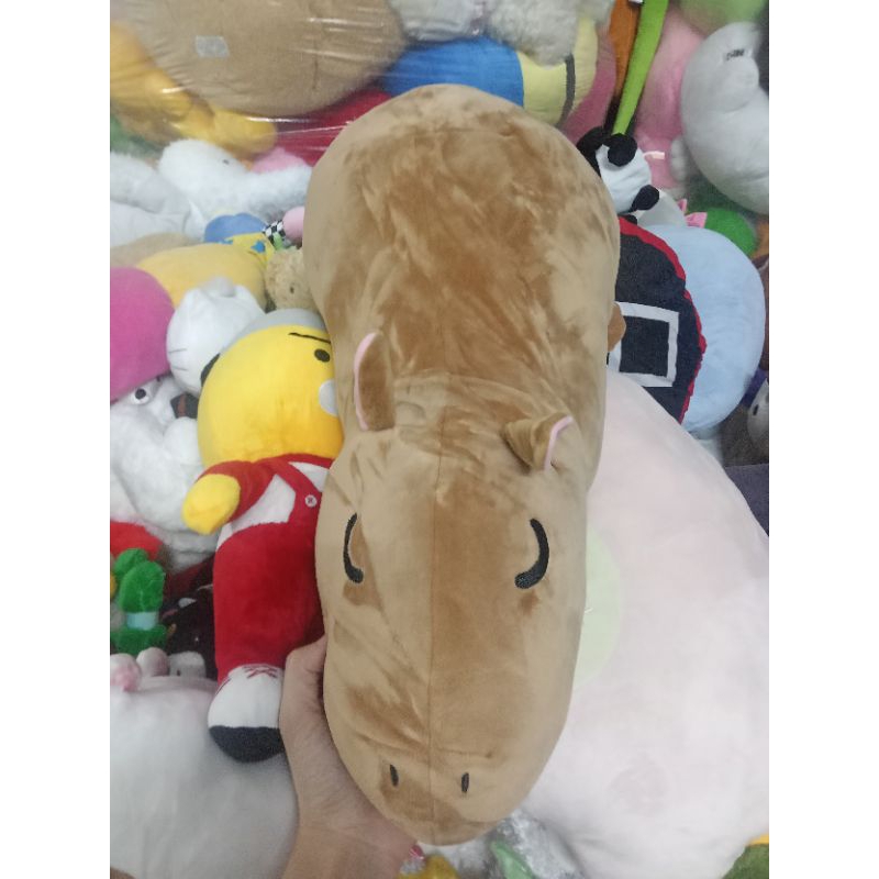 Gấu bông miniso size 40-55cm
