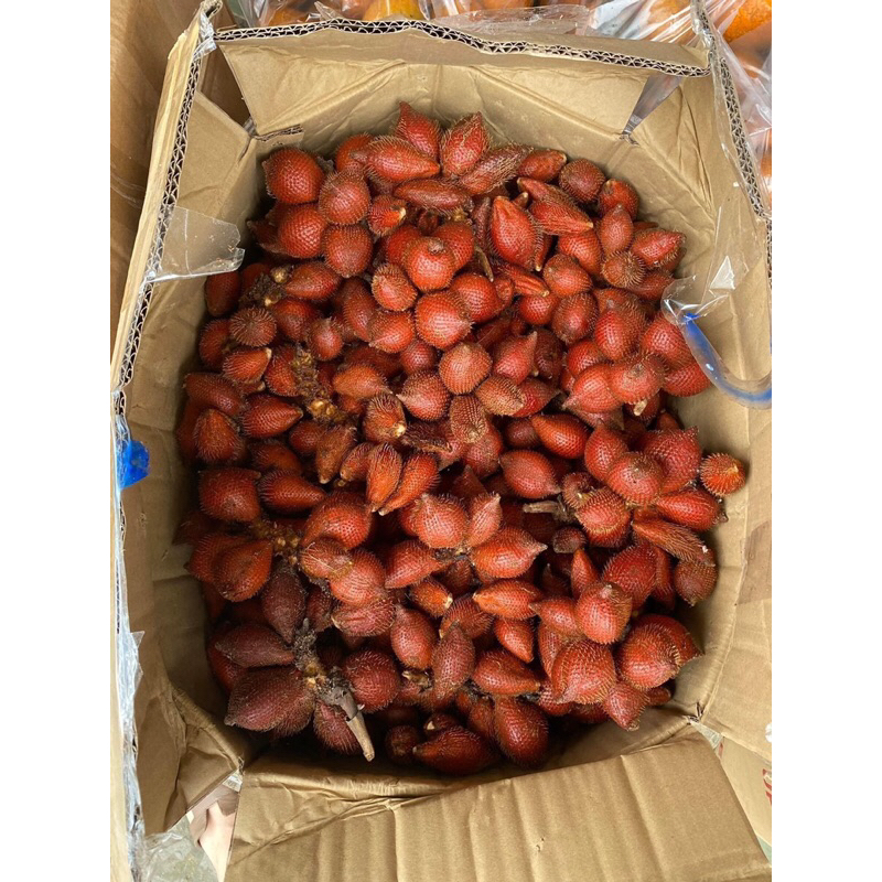 Mây thái đường