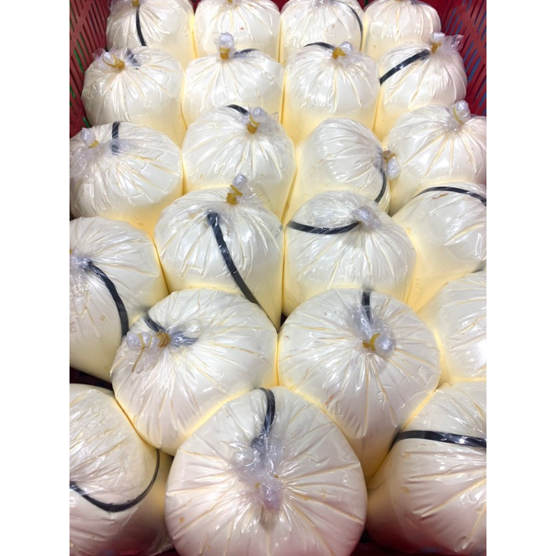 Body kháng nước cao cấp 250Gram