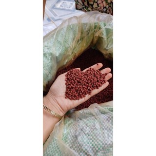 Hạt cari Mỹ Lộc có SLL