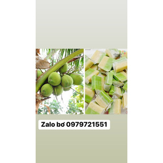 Kẹo dừa bến tre sữa dứa