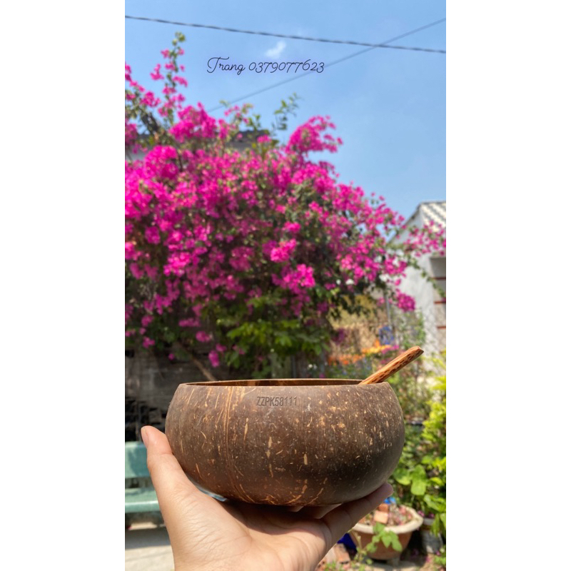 Bát gáo dừa