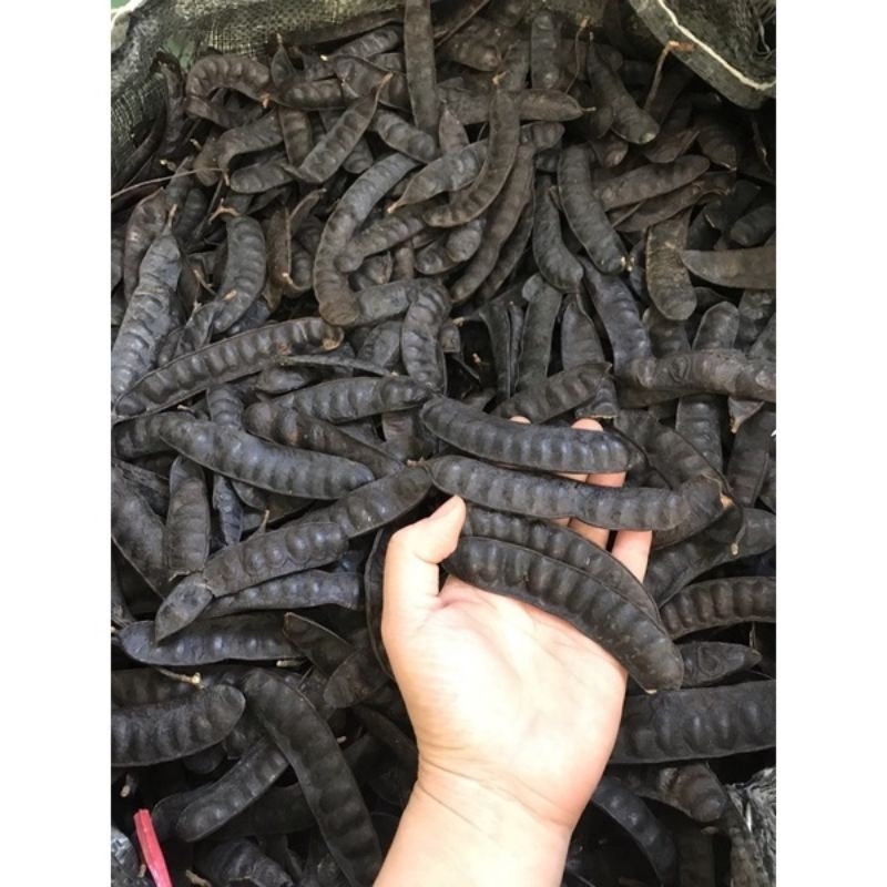 Quả bồ kết khô 1kg