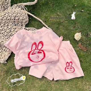🐰🐰 bộ thun cotton cộc tay in thỏ cho bé gái🐰🐰
