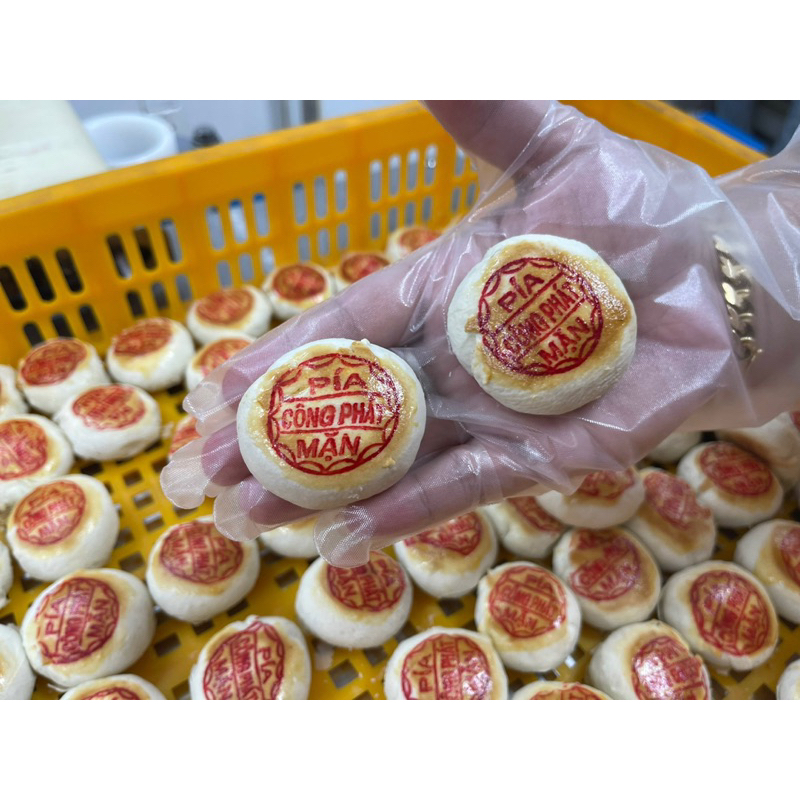 Combo 10 Bánh pía mini Công Phát mix nhân đậu môn trứng muối (bánh ngon dễ ăn không ngán)