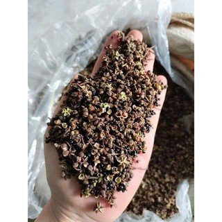 Hạt dổi, mắc khén gia vị tây bắc