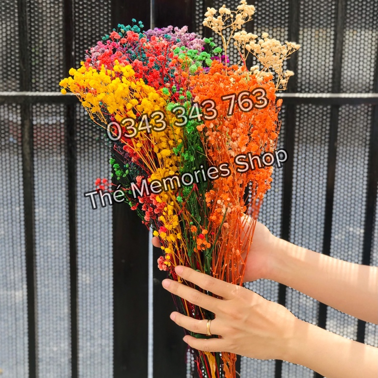 Hoa Baby Khô, Hoa Khô Trang Trí, Hoa Baby Cô Gái, Decor, Làm Quà Tặng Sinh Nhật, Đám Cưới, Quà 8/3, 20/10