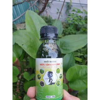 Nước tắm chim cảnh nhất Hoàng