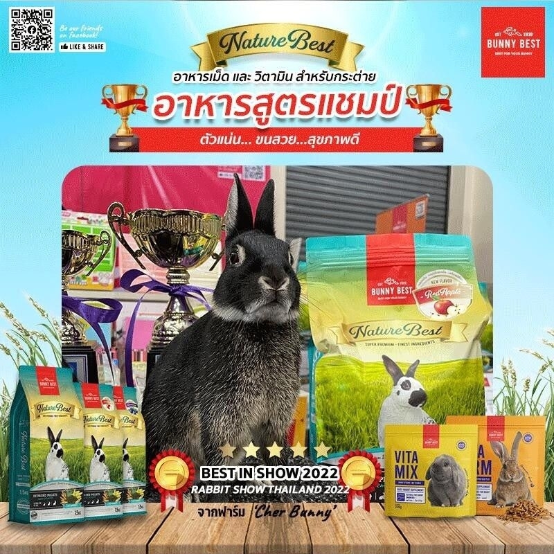 Bunny Nature Best 1,5kg In Show 2022 Rabbit