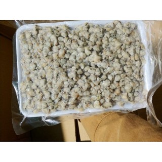 1kg ruột hến làm sạch