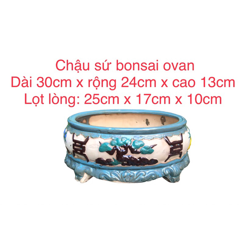 Chậu sứ Bonsai cao cấp