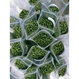 100gr nụ hoa tam thất xanh[hàng chuẩn loại 1]