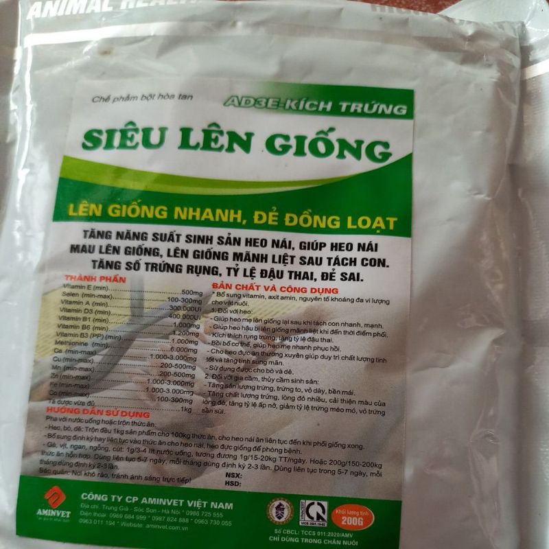 Siêu lên giống 200g, 1kg