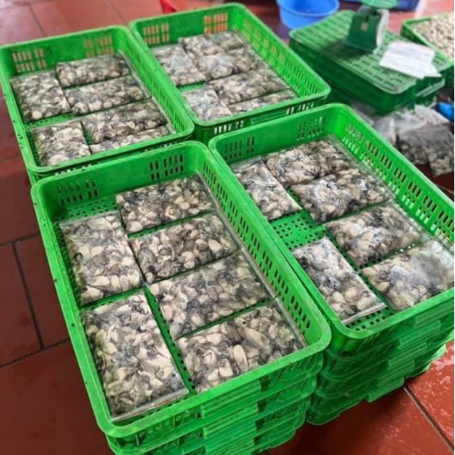 Ruột hàu sữa cấp đông 500gr❤️Tmart-Thực phẩm sạch