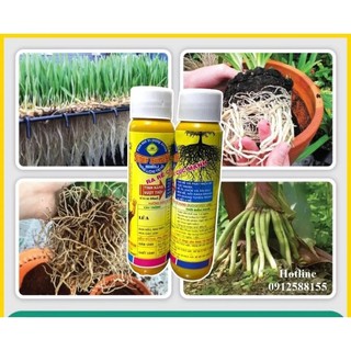 ống siêu ra rễ (kích ra rễ, giâm,chiết)