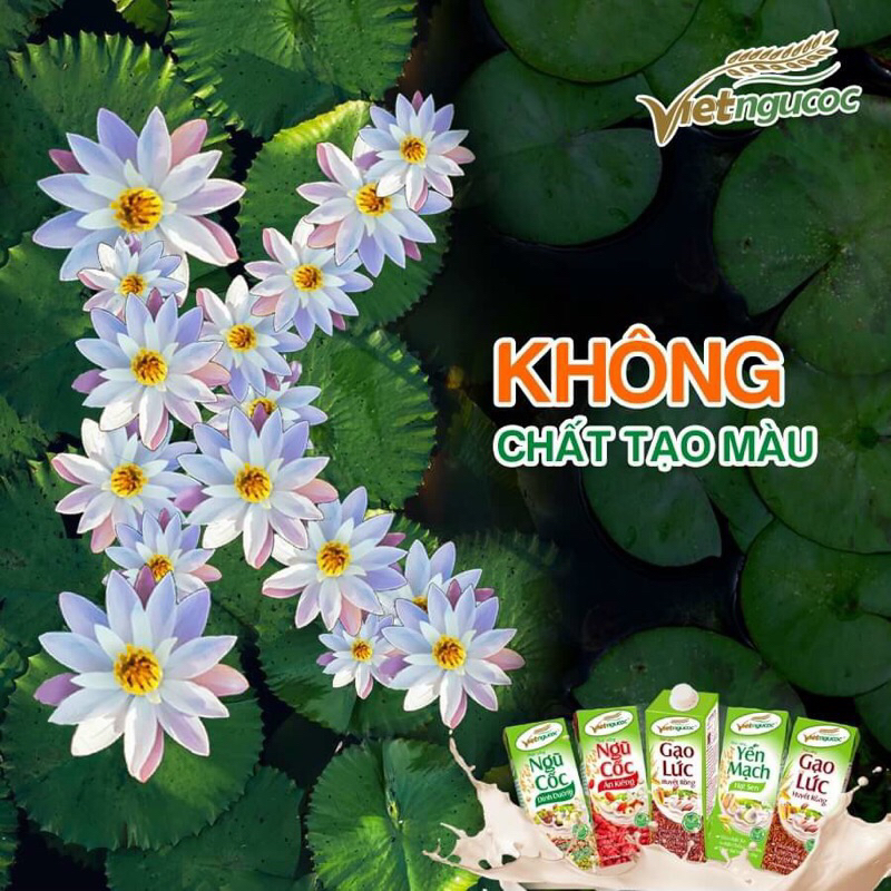 Lốc 4 Thức Uống Ngũ cốc ăn kiêng nước 180ml
