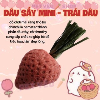 Cà rốt mài răng đồ chơi cho các bé thỏ bọ hamster 🦫🐁🐻