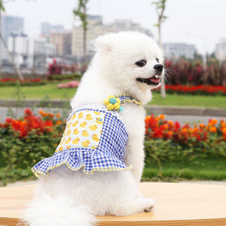 🌸Đầm chó mèo thú cưng🌸