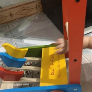 Xe tập đi con gà Việt Nam