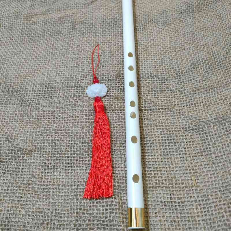 Sáo nhựa Tone Đô  Dành Cho Người Mới Tập Chơi, Kèm Dây Treo