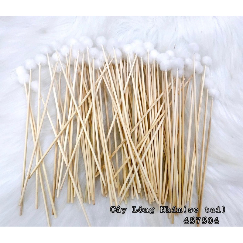 cây lông nhím (cây se tai)