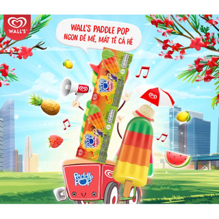 [SHIP HỎA TỐC] Kem trái cây Paddle Pop cây 39g